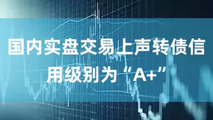 国内实盘交易上声转债信用级别为“A+”