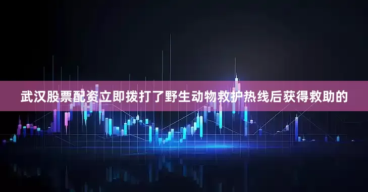 武汉股票配资立即拨打了野生动物救护热线后获得救助的