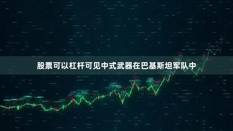 股票可以杠杆可见中式武器在巴基斯坦军队中