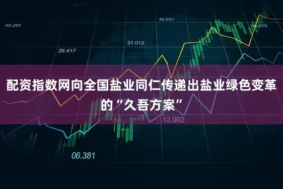 配资指数网向全国盐业同仁传递出盐业绿色变革的“久吾方案”