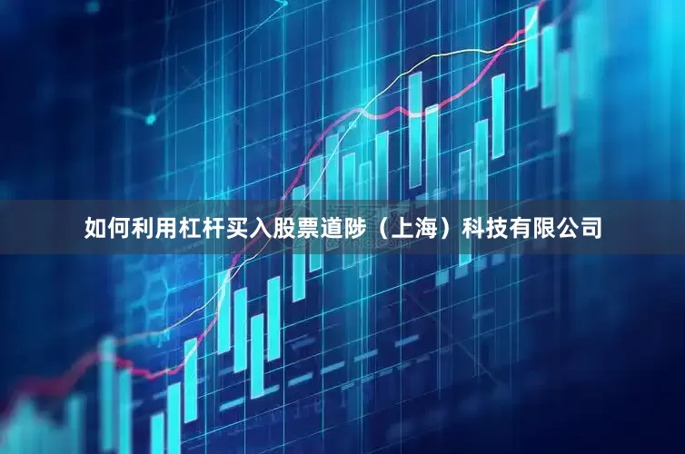 如何利用杠杆买入股票道陟（上海）科技有限公司